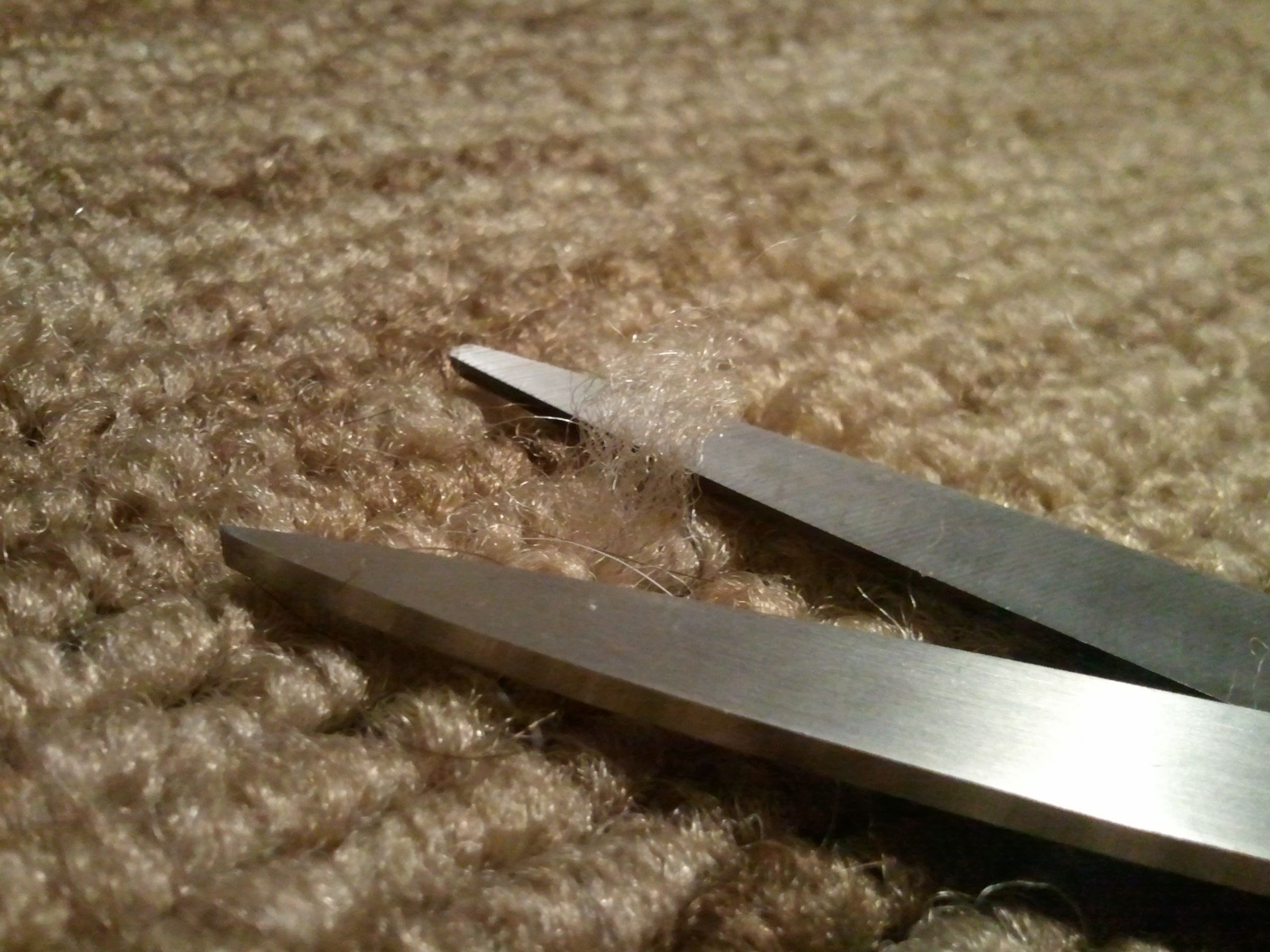 Fix a Snag in a Rug 5 Steps (with Pictures) Instructables