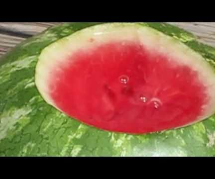  How to Make Watermelon Taste Sweet 