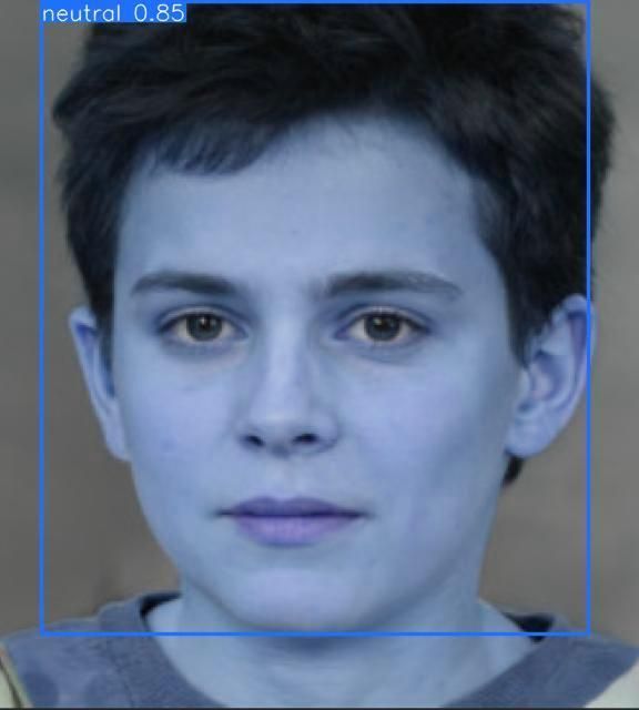 Emotion Recognition Model -