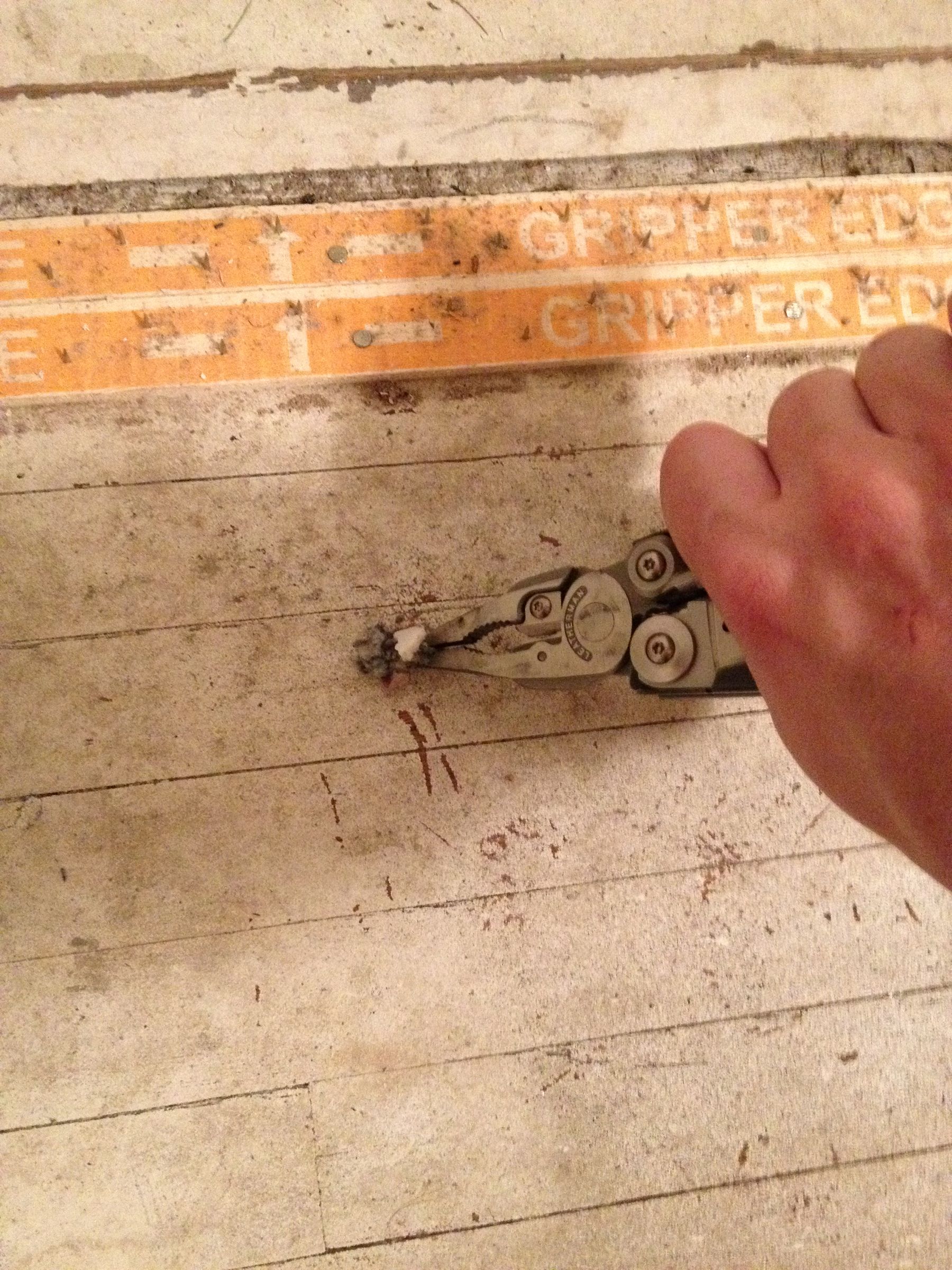 How to Refinish Your Hardwood Floor (under Carpet) 5 Steps