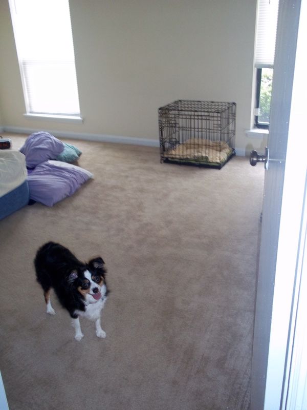 My Lack of a Bedroom