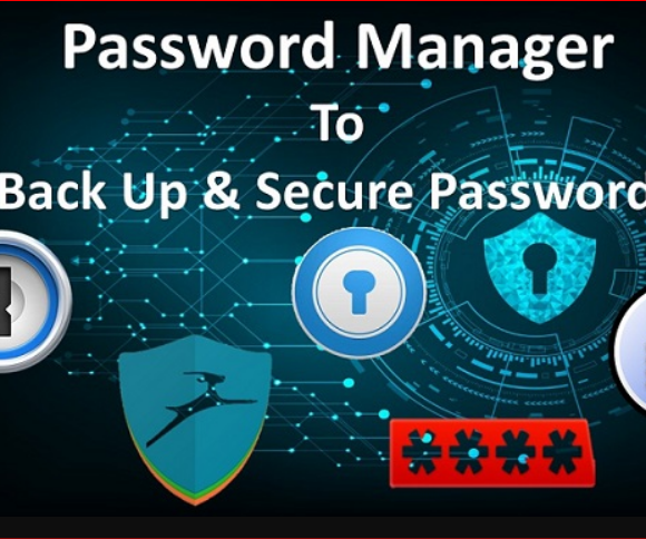 Bitwarden Server (Password Manger) Using Brainypi