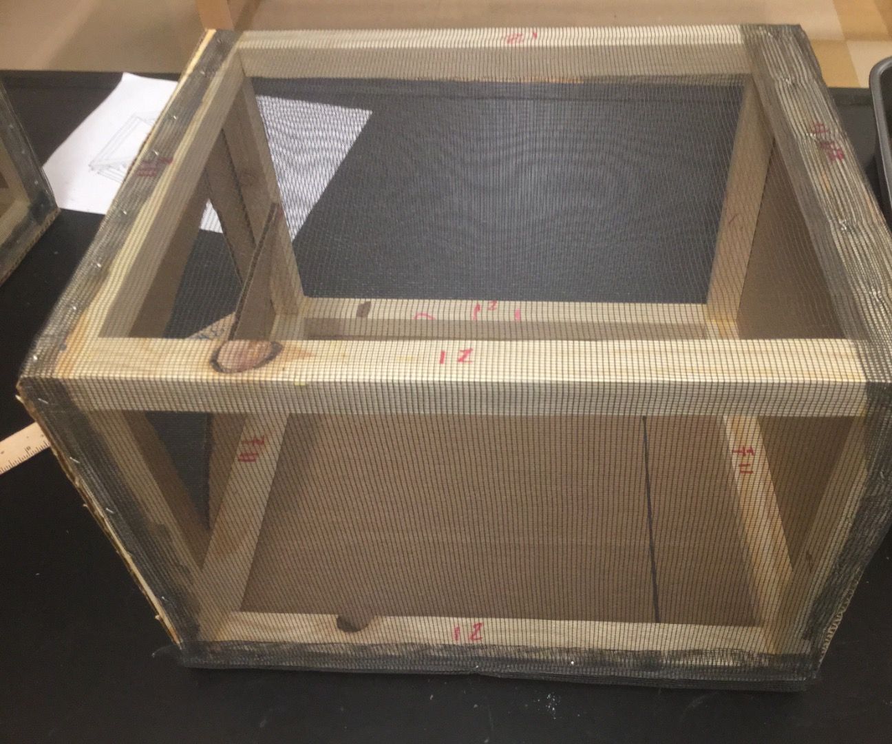 How to Build a Bug Box