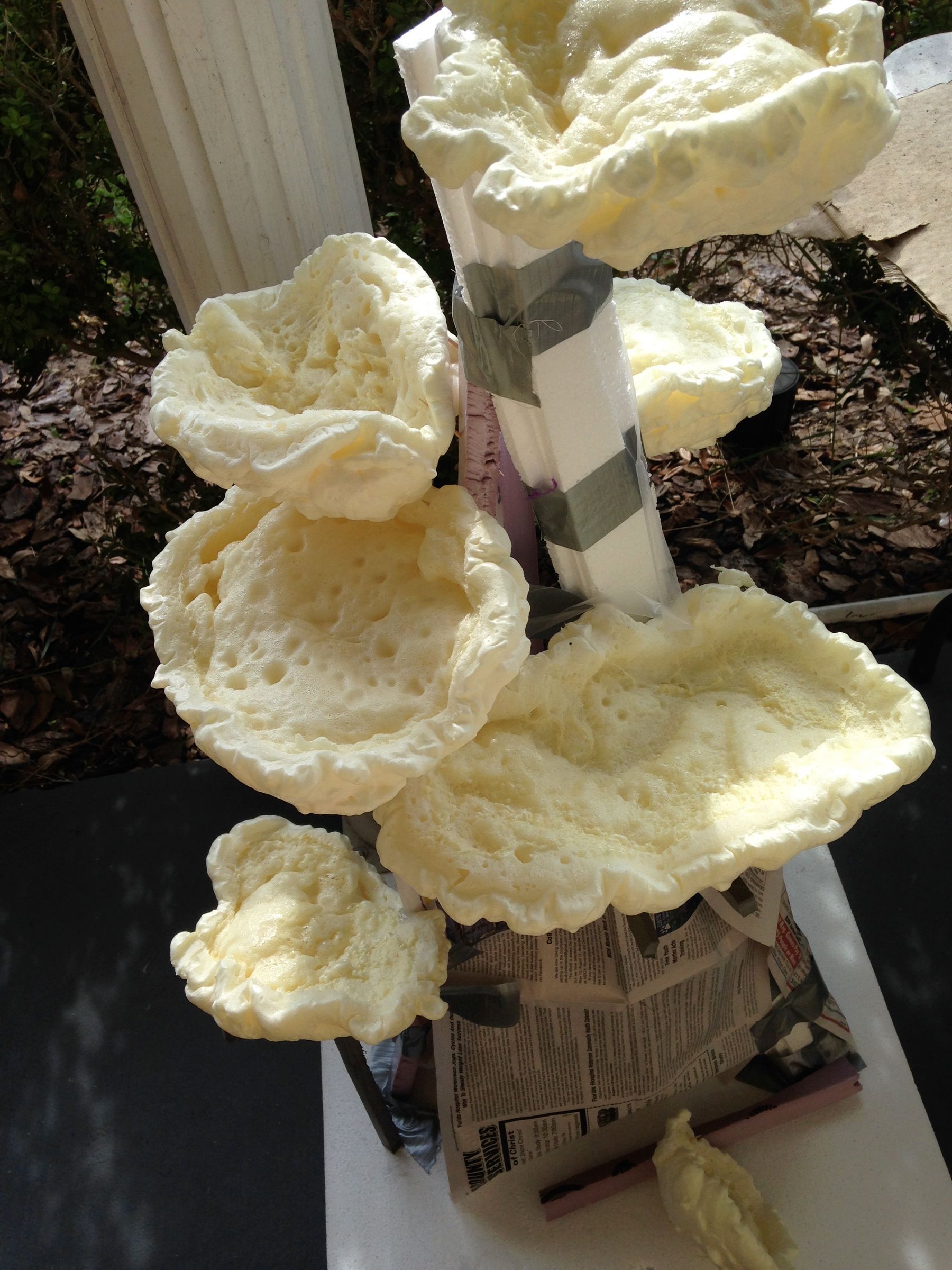 Spray Foam Coral 4 Steps (with Pictures) Instructables