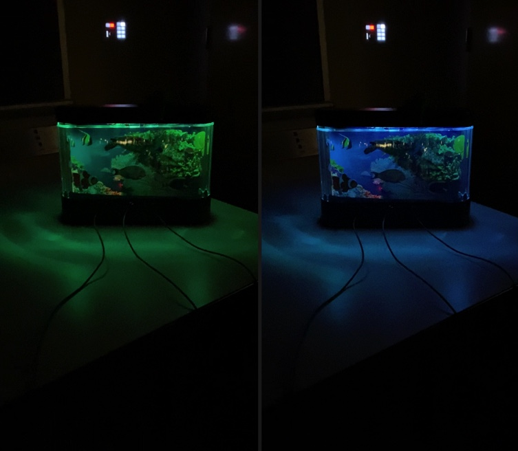 Interactive Aquarium