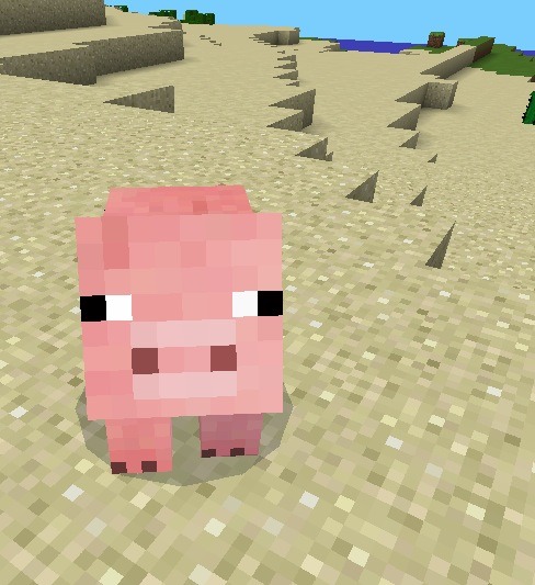 Fun With Pigs (3 Sub Special)