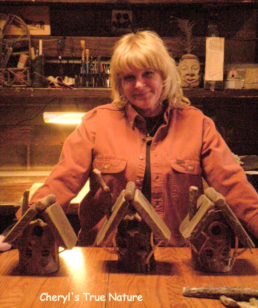 CherylsTrueNature