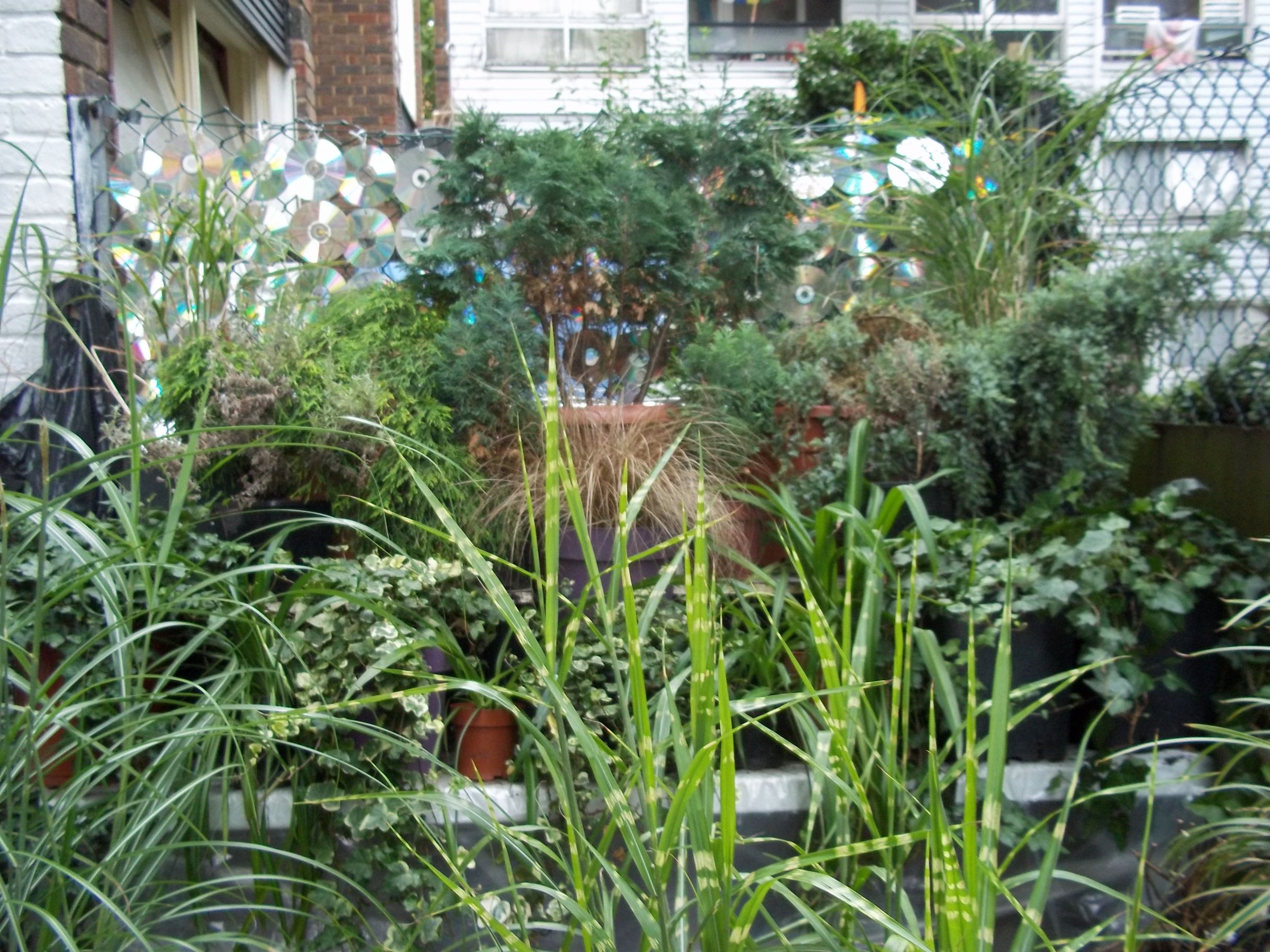 Wall of Sound (well, Fence of Sound, Really)