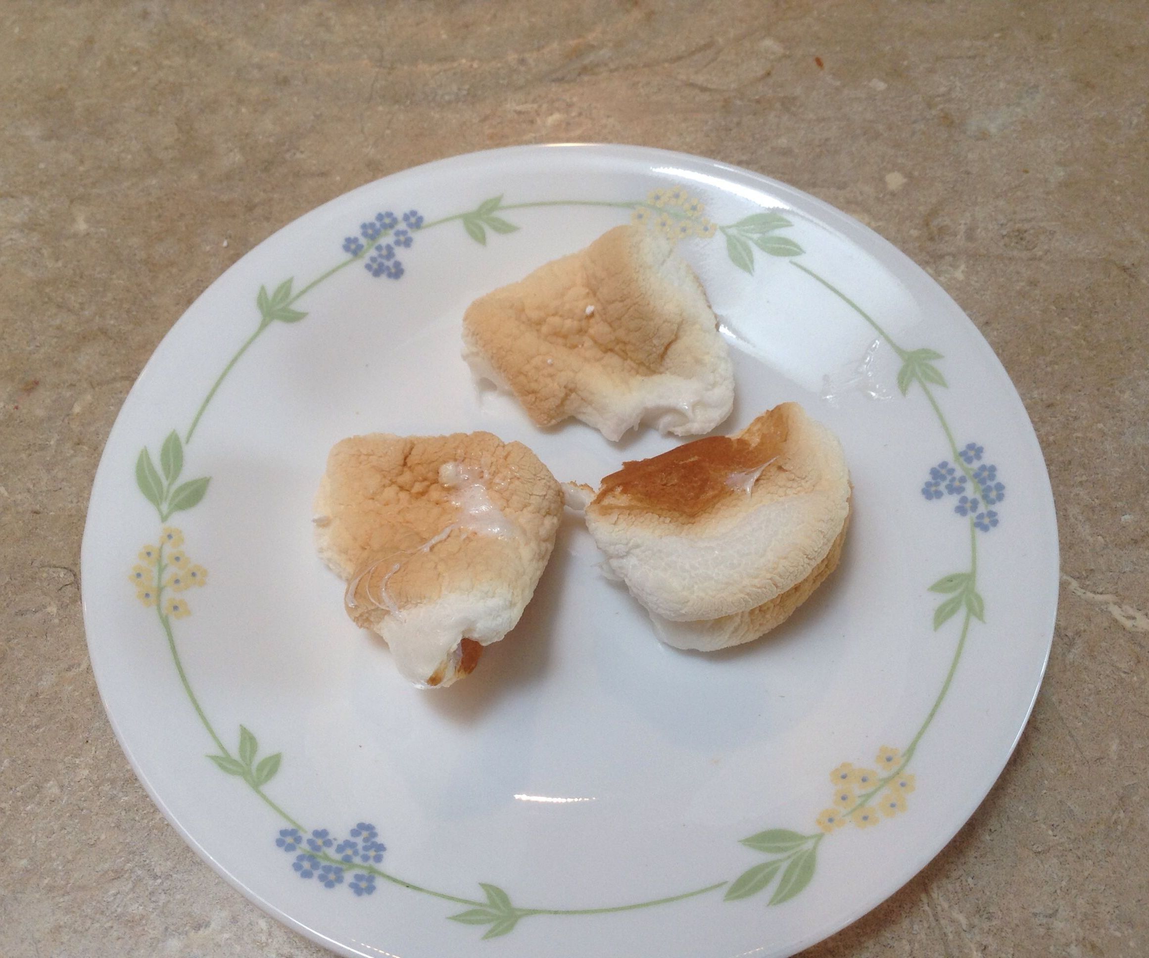 Rainy Day Quick and Easy Oven Roasted Marshmallows 