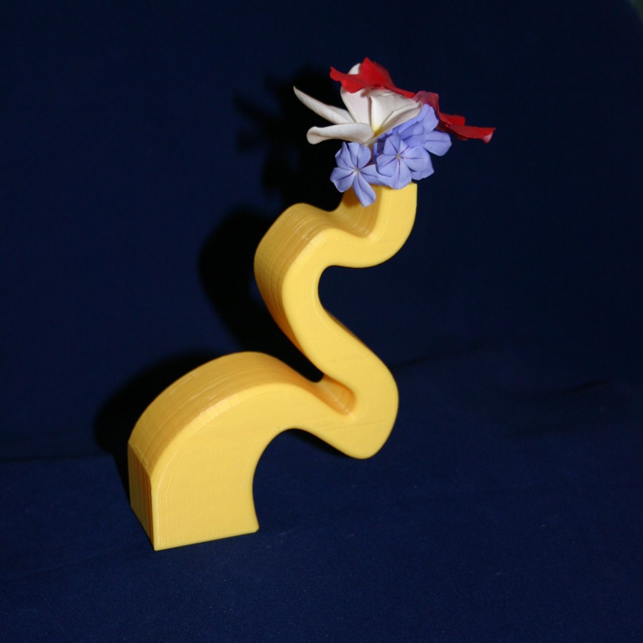 Unbalanced Vase