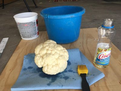 Mold for the Cloud of Smoke