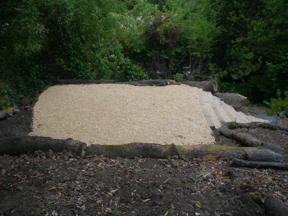 Tree Trunk Retaining Wall