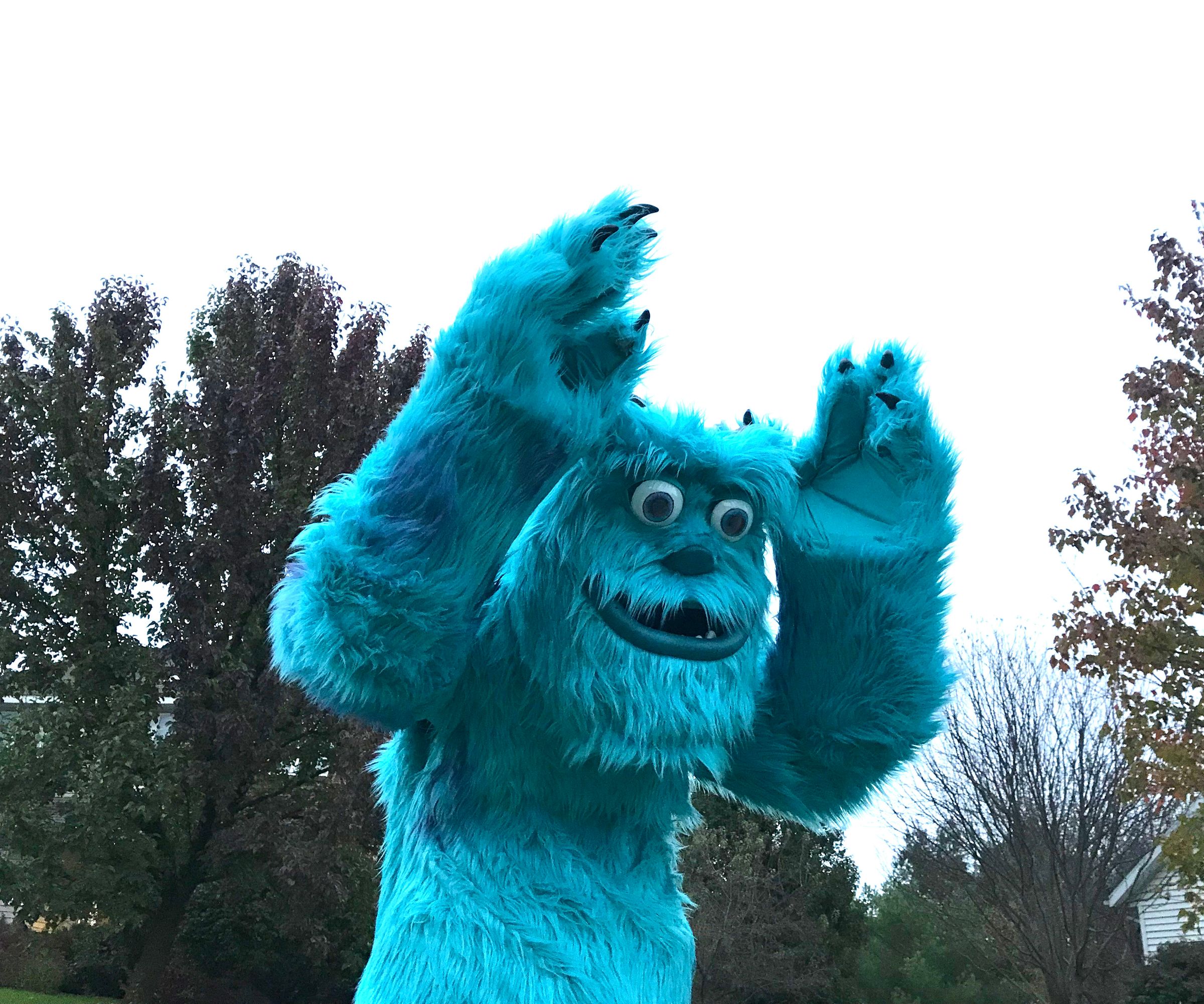 The Ultimate Sully Costume