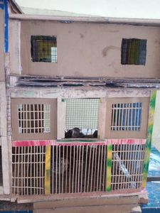 Building the Quail House
