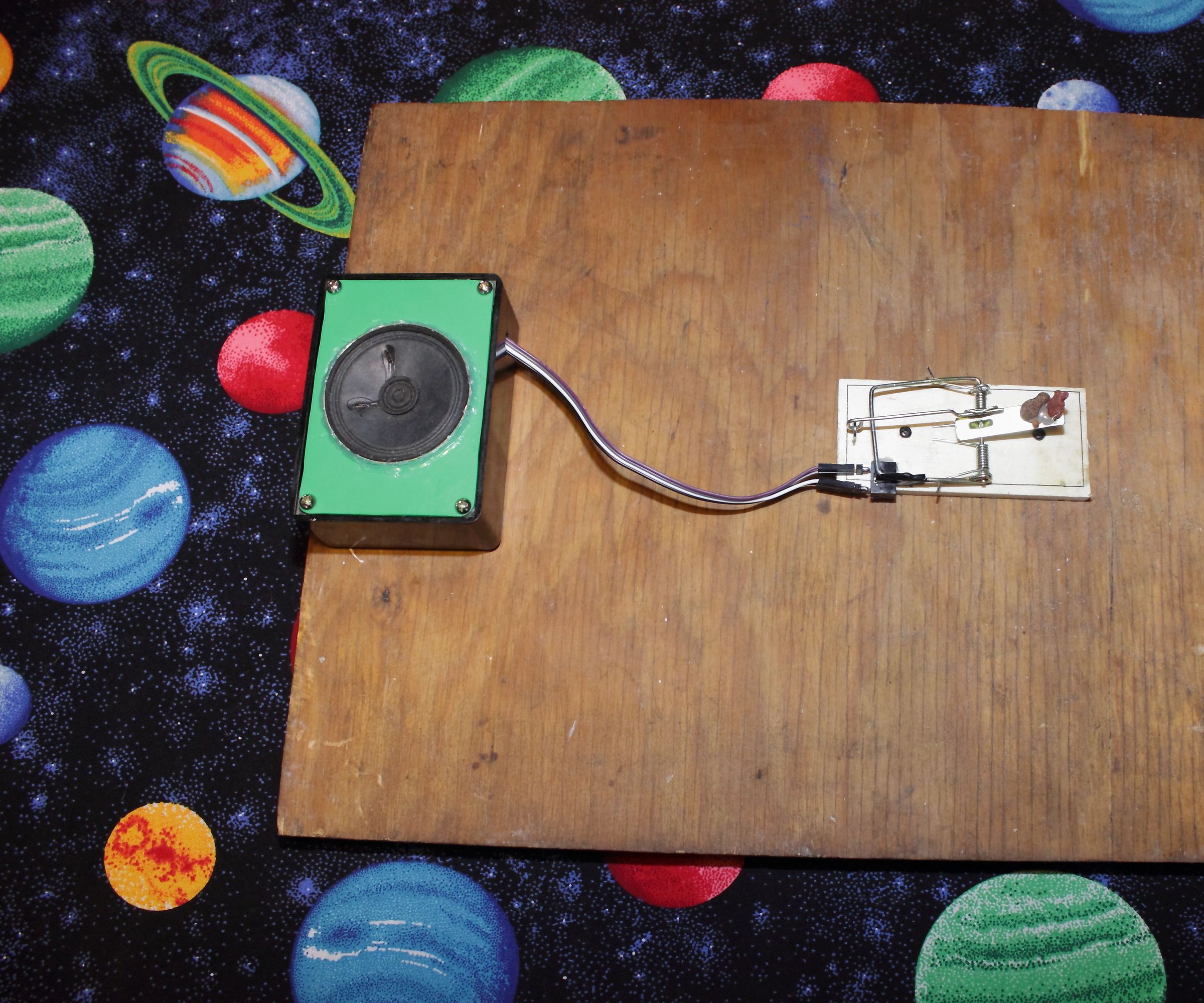 How to Add a Audio Alarm to Your Mouse Trap