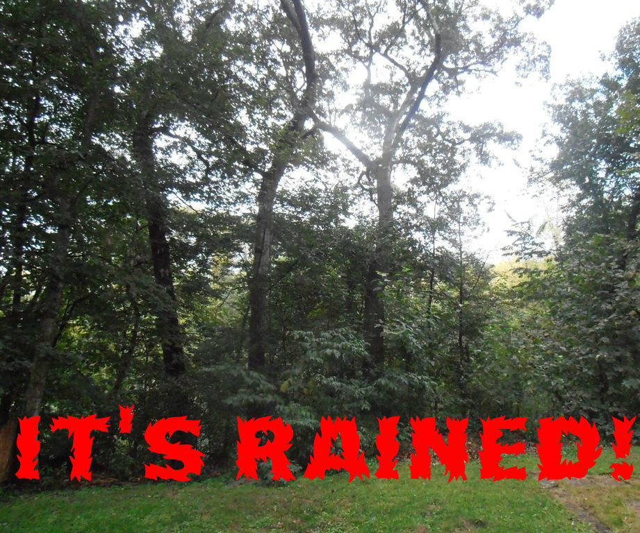 How to Make a Fire With Wet Wood