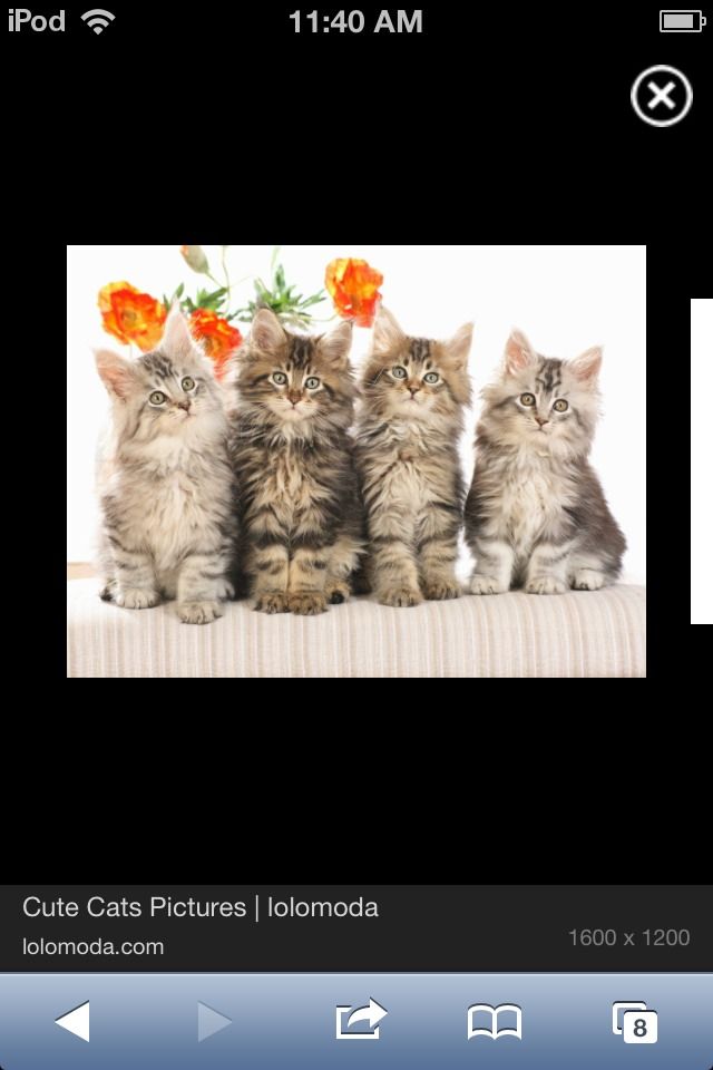 How to Save Pictures on the Internet 