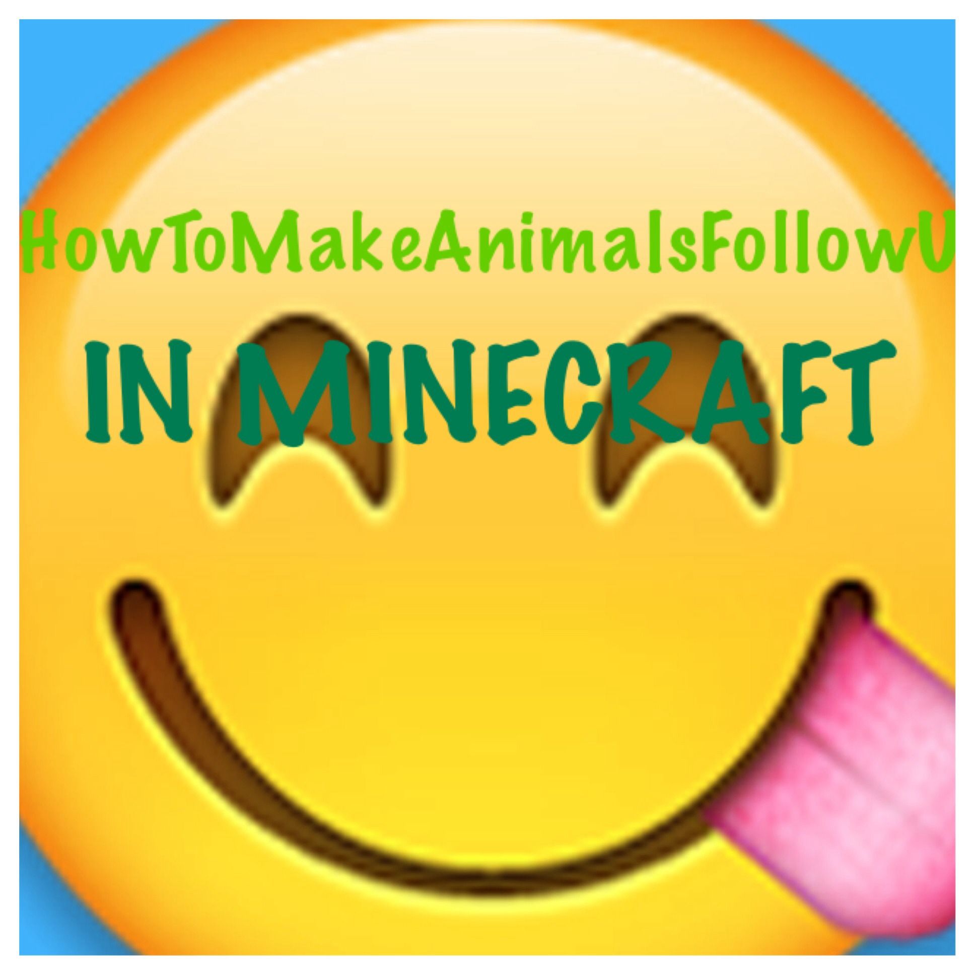 HowToMakeAnimalsFollowU