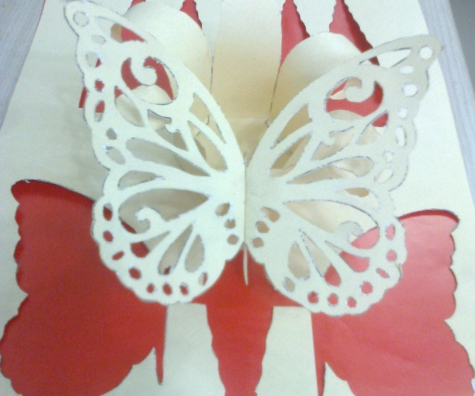 Simple But Amazing One Piece Paper Art