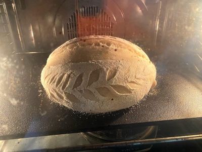 Bake