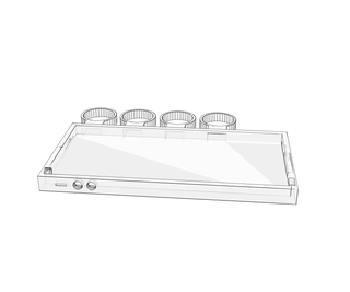 download {{ file.name }}