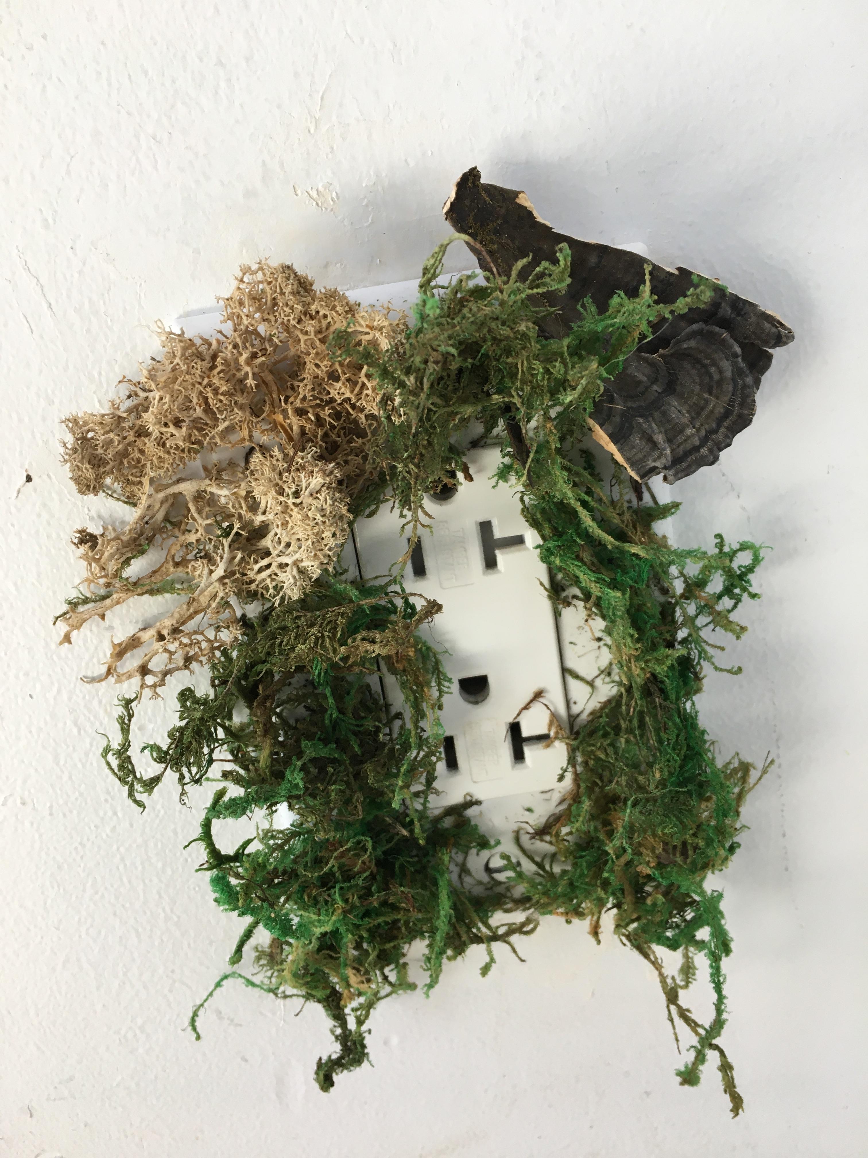 DIY Custom Wall Plates 5 Steps Instructables