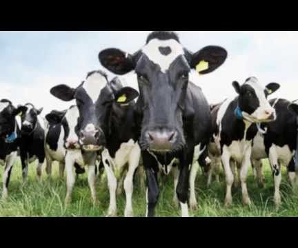 How to Detox Your Life of Unnecessary Antibiotics