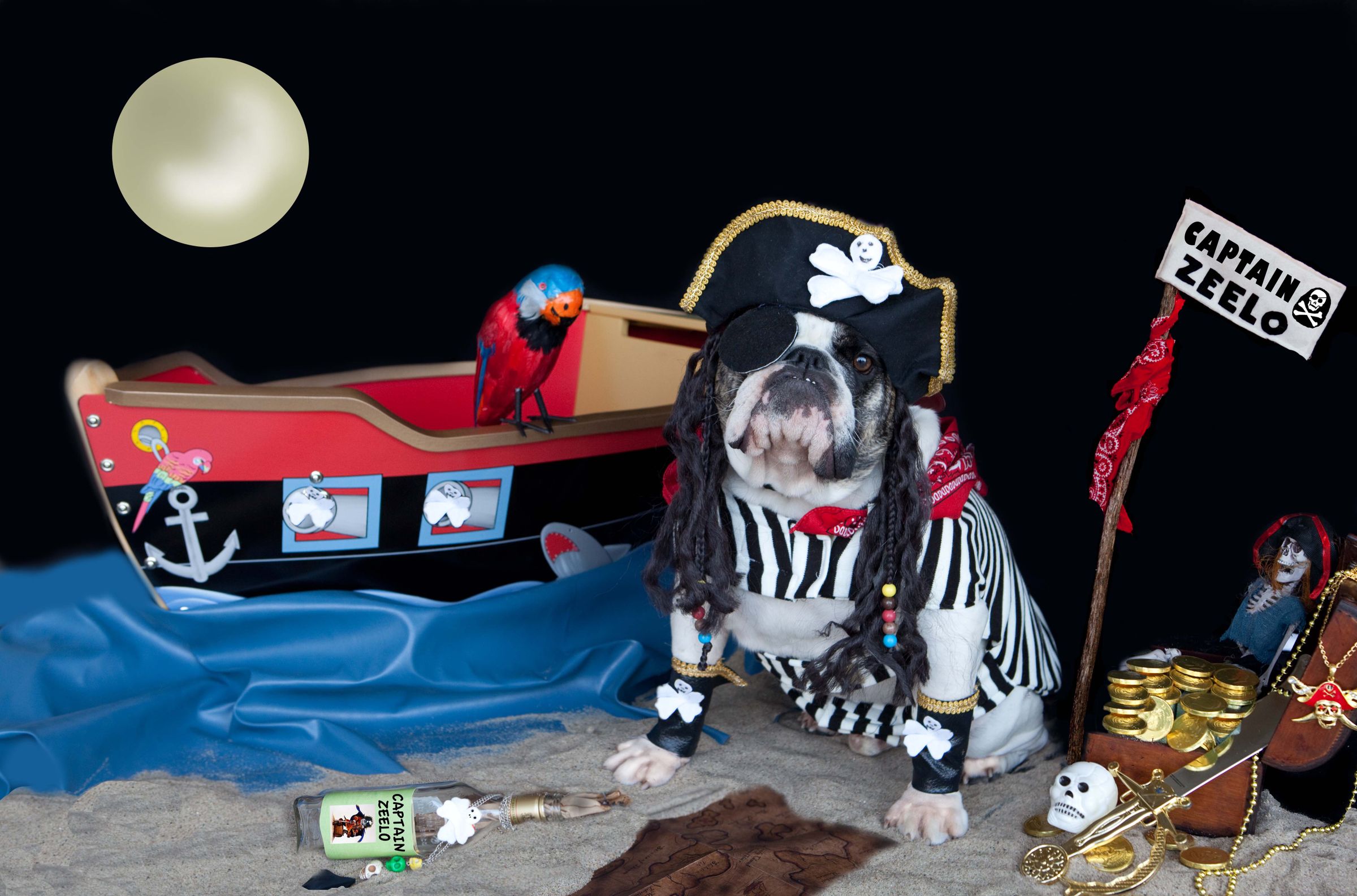 Captain Zeelo-Bulldog Pirate With Ship and Accessories