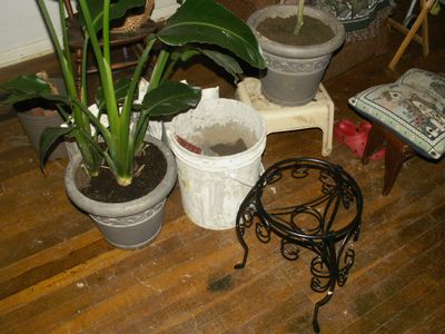 Step Four: Shelfing / Planters