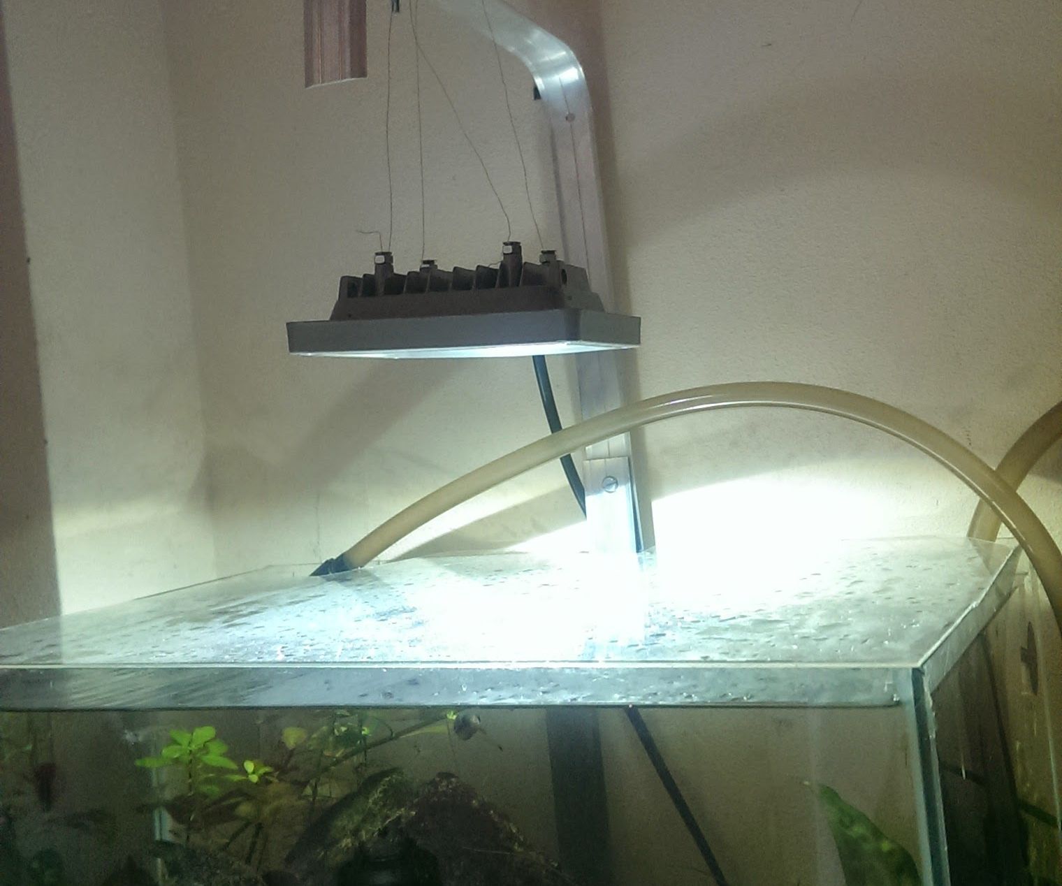 Cheap Aquarium Led - Instructables