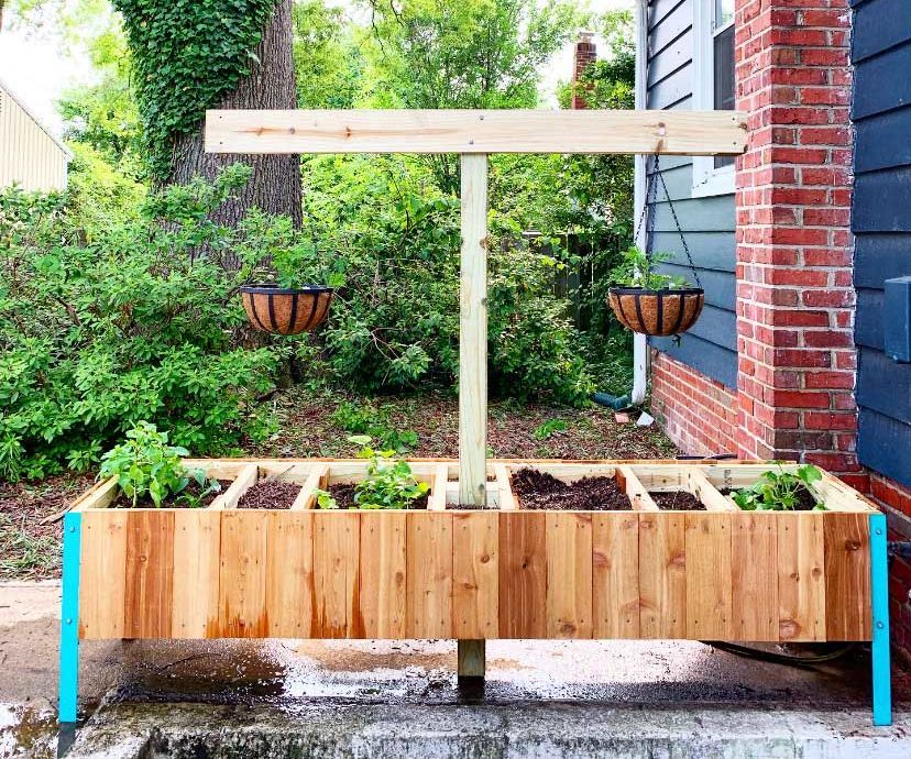 Raised Sustainable Vegetable Garden