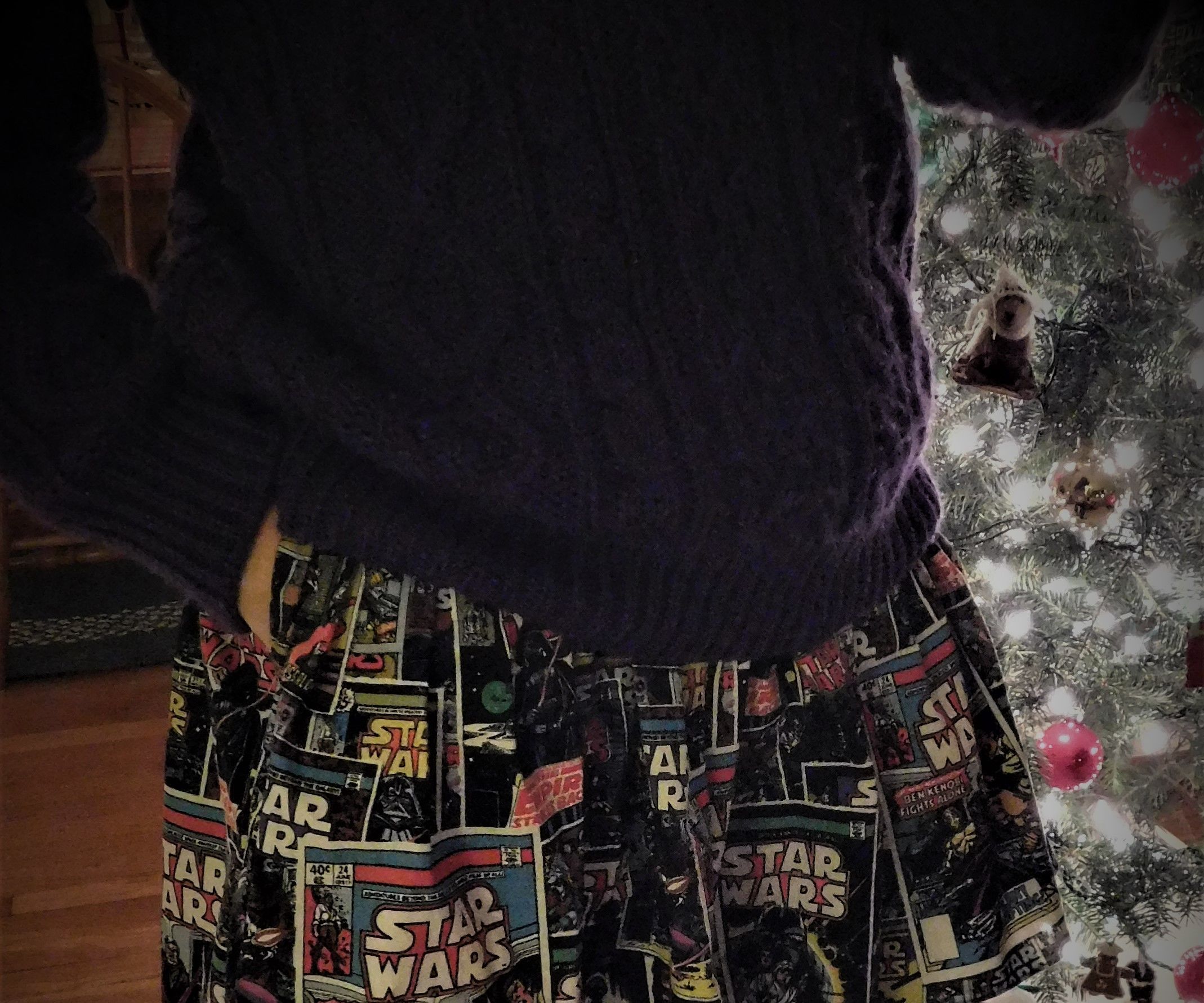 Star Wars Skirt 