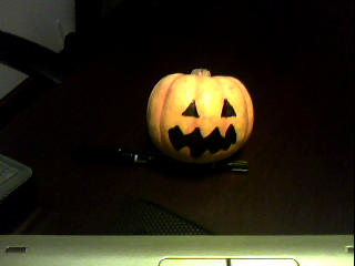 Mini Pumpkin  Drawing