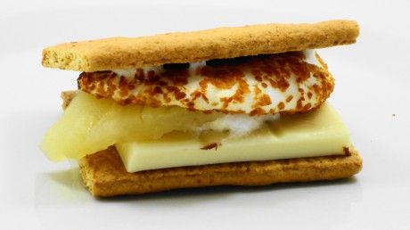 How to Make the Best Smore - EVER!