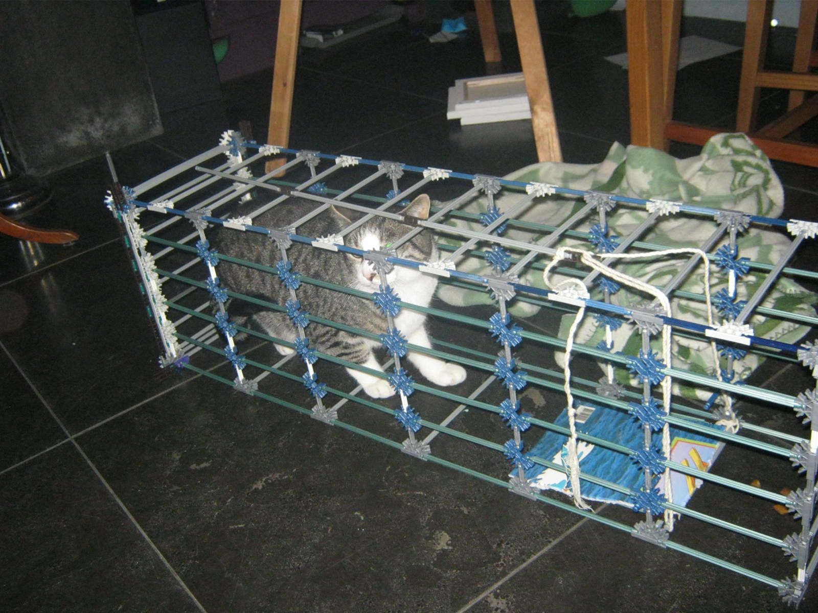 Cat Trap
