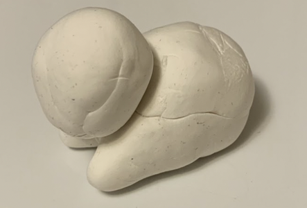 Create Your Clay Base 