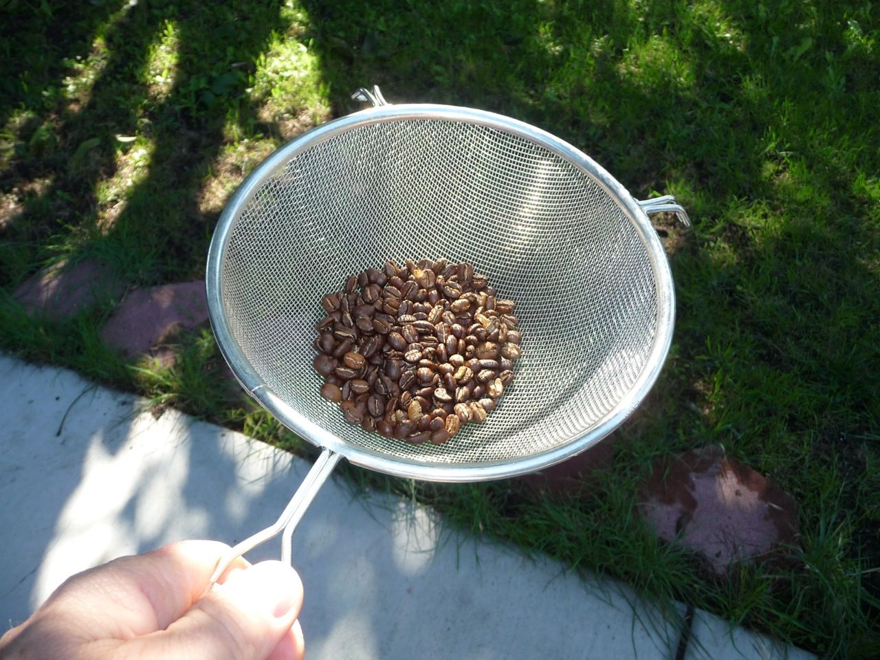Coffee Roasting with a hot air popper