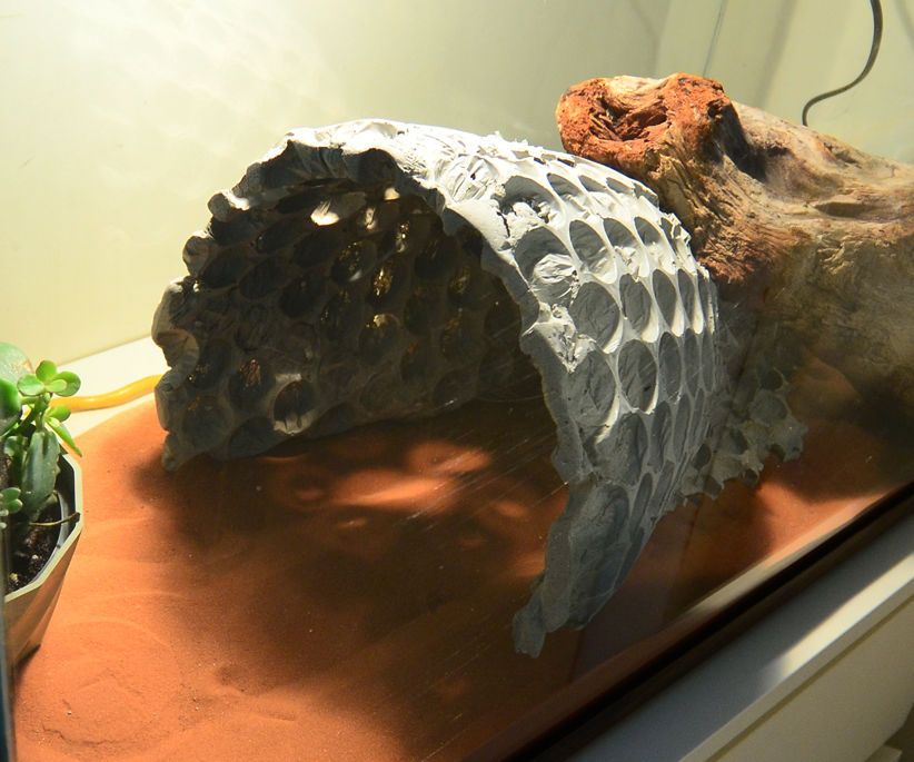 Tharrr Be Dragon Lairs! Concrete and Bubble Wrap
