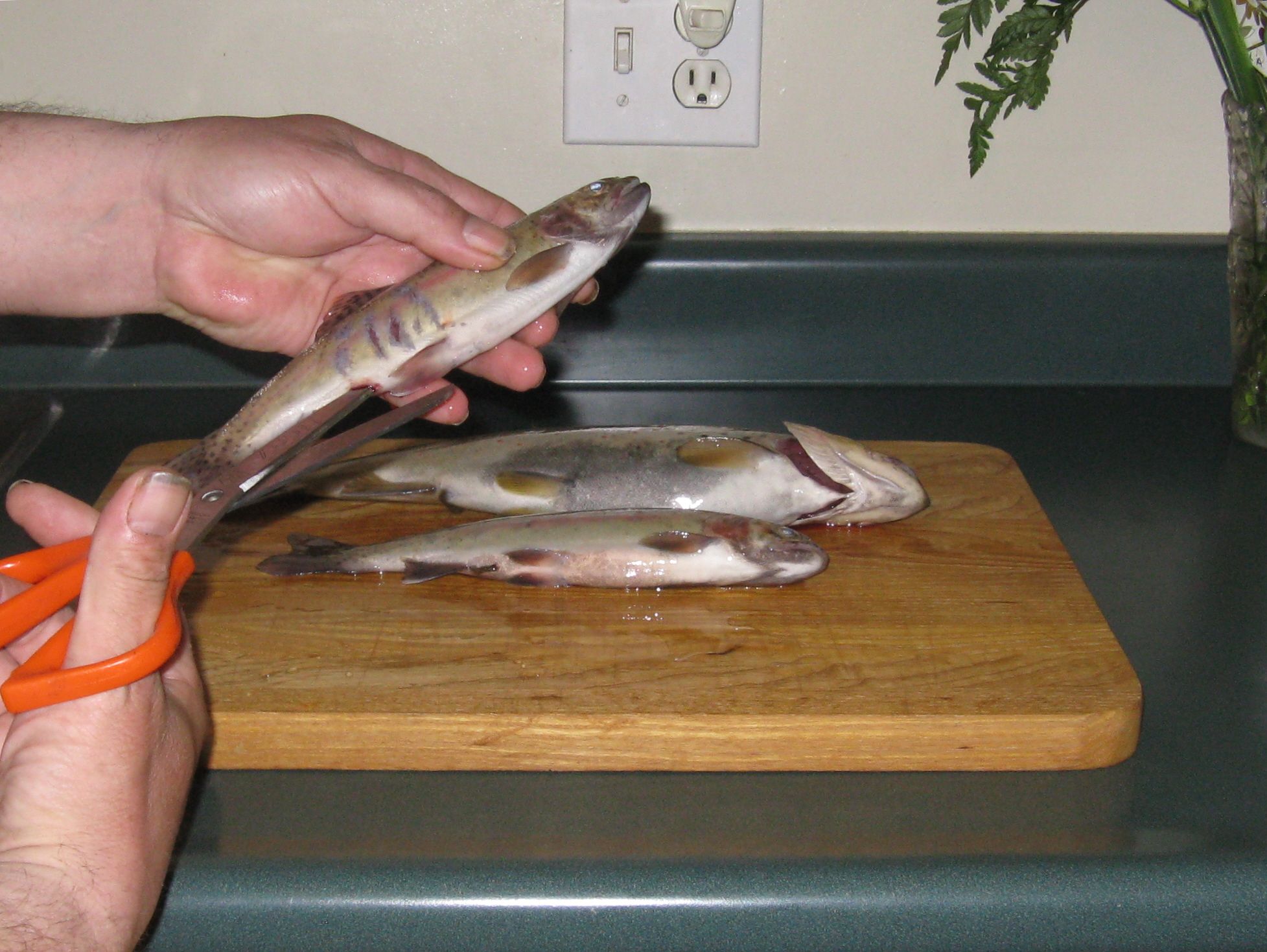 Fresh Trout Breakfast 10 Steps (with Pictures) Instructables