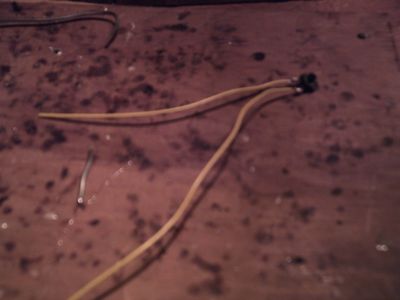 Wire the Switch and LEDs