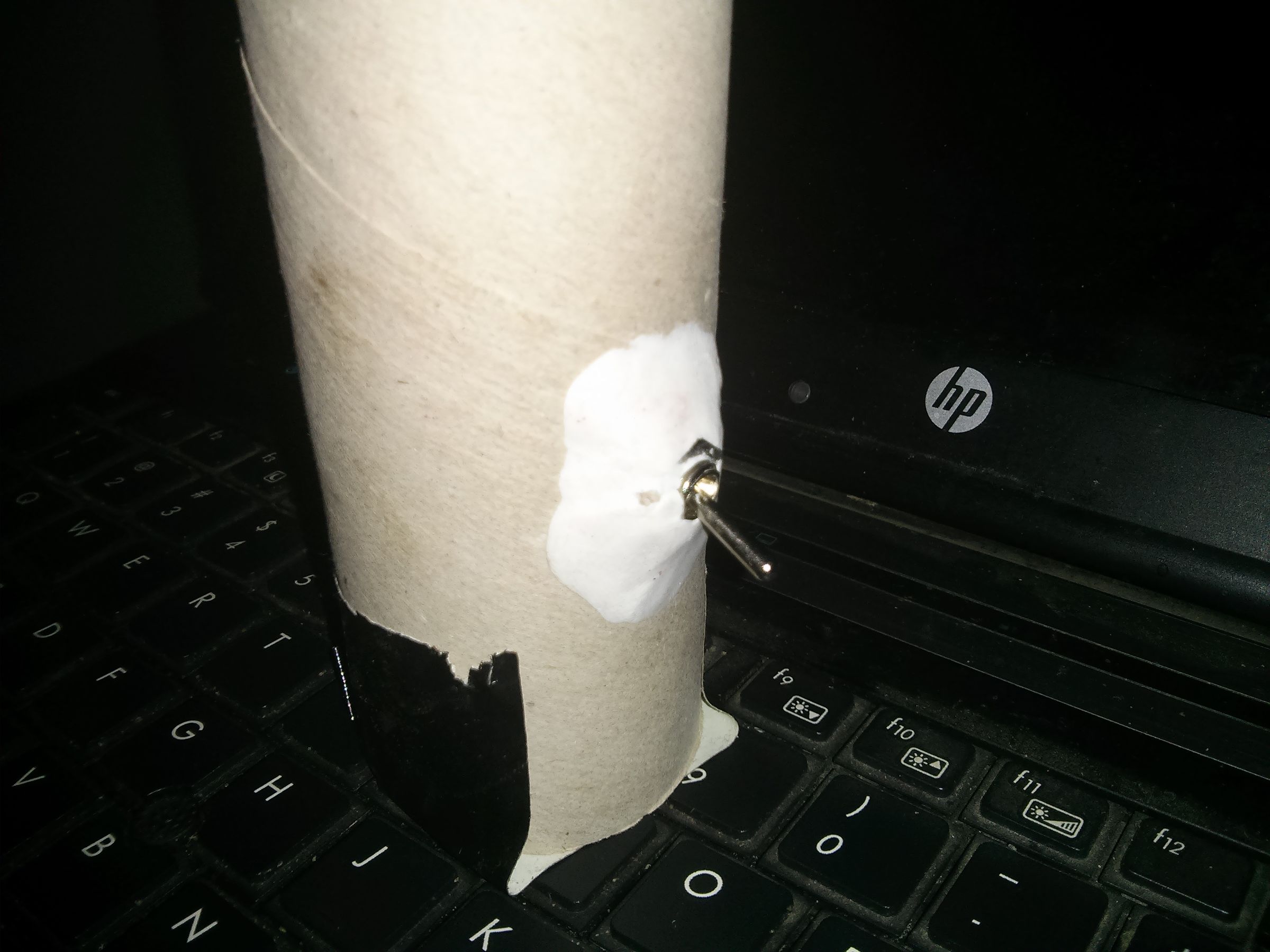 Toilet Paper Tube Torch 5 Steps (with Pictures) Instructables