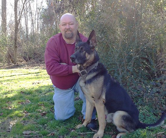 Trained Police Dogs for Sale