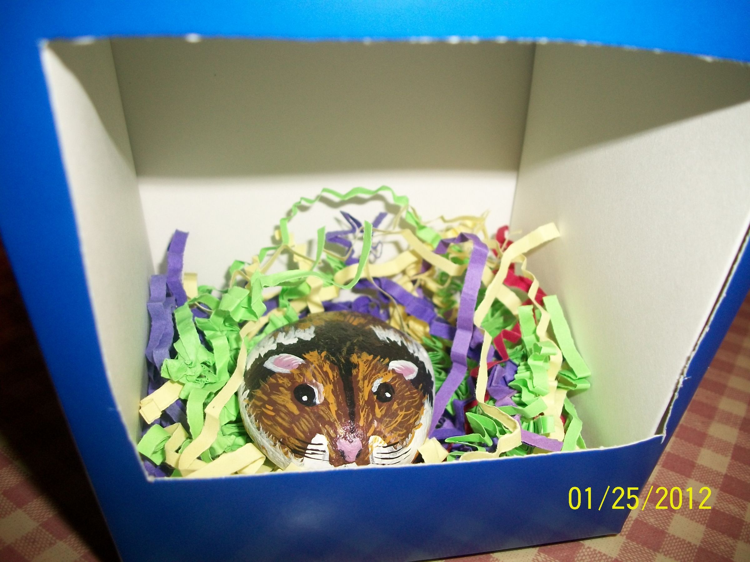 Painted Hamster Rock