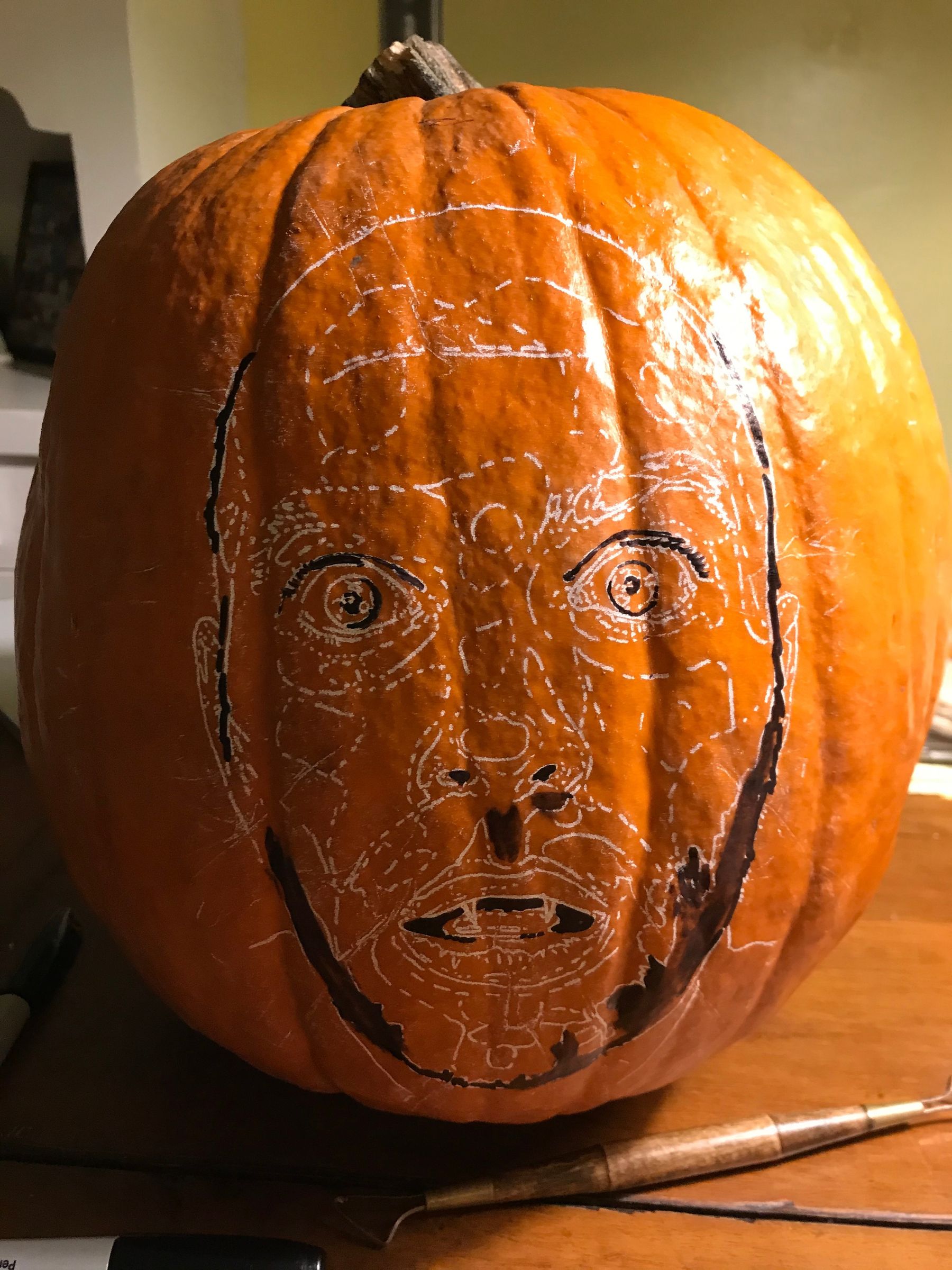 Carve a Portrait Pumpkin : 8 Steps (with Pictures) - Instructables