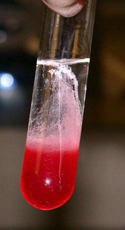 Extracting DNA From Strawberries
