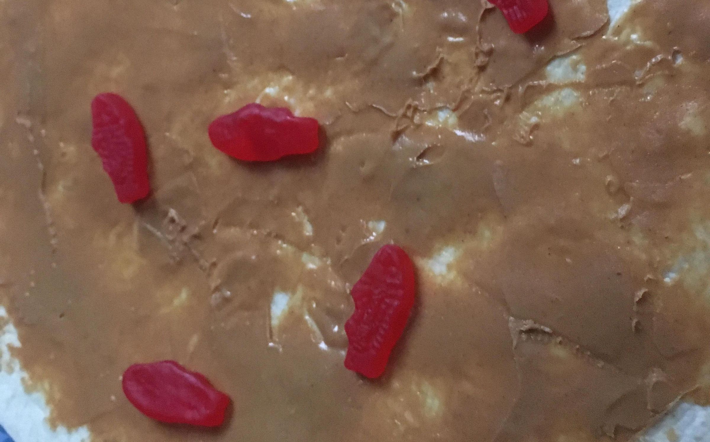 Peanut Butter Tortilla