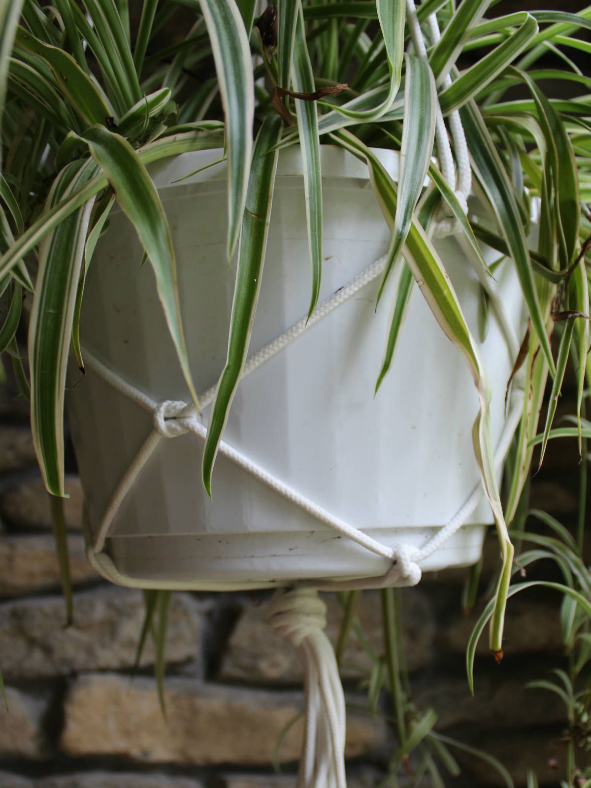 Easy DIY Plant Hanger 5 Steps (with Pictures) Instructables