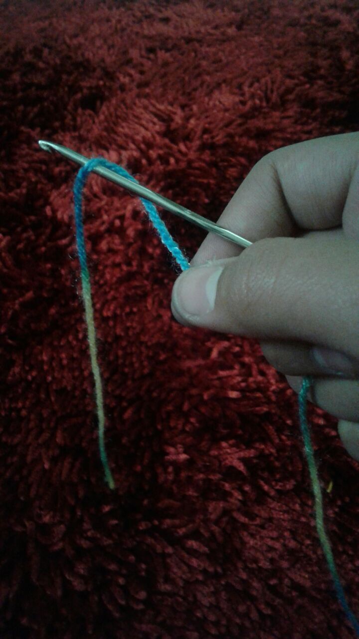  Hold Crochet Hook in Right Hand and Make a Slip Knot on Hook.
