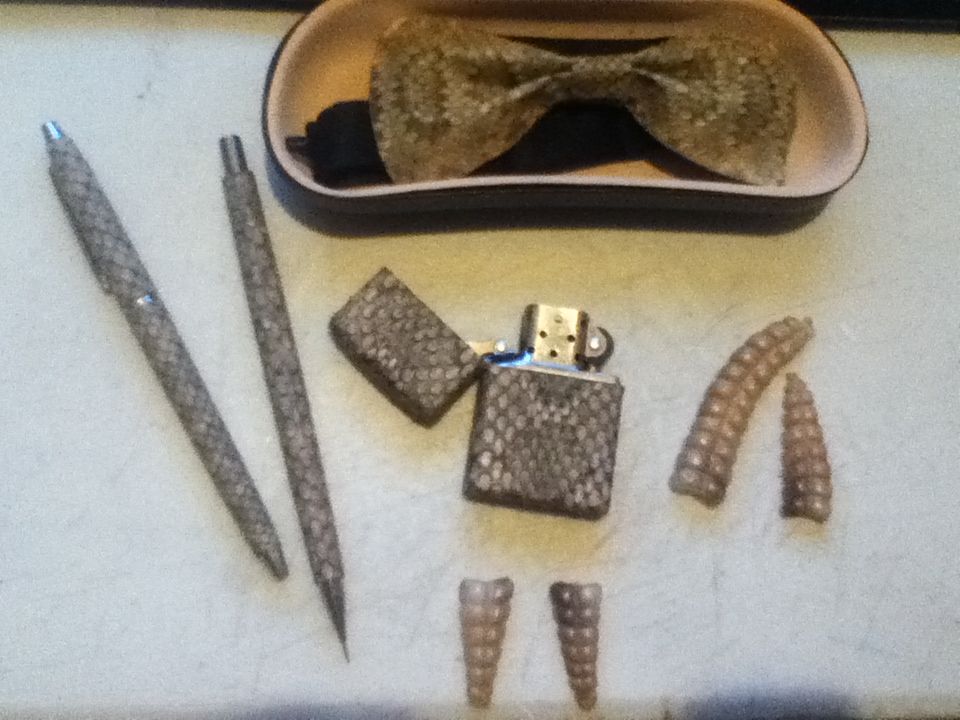 Snake Hide accesories