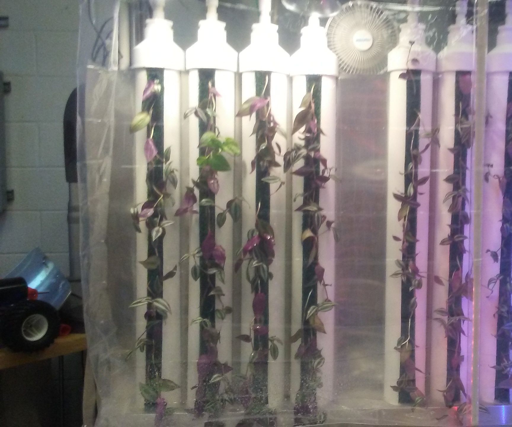 An Automated Greenhouse to Assist in Plant Development